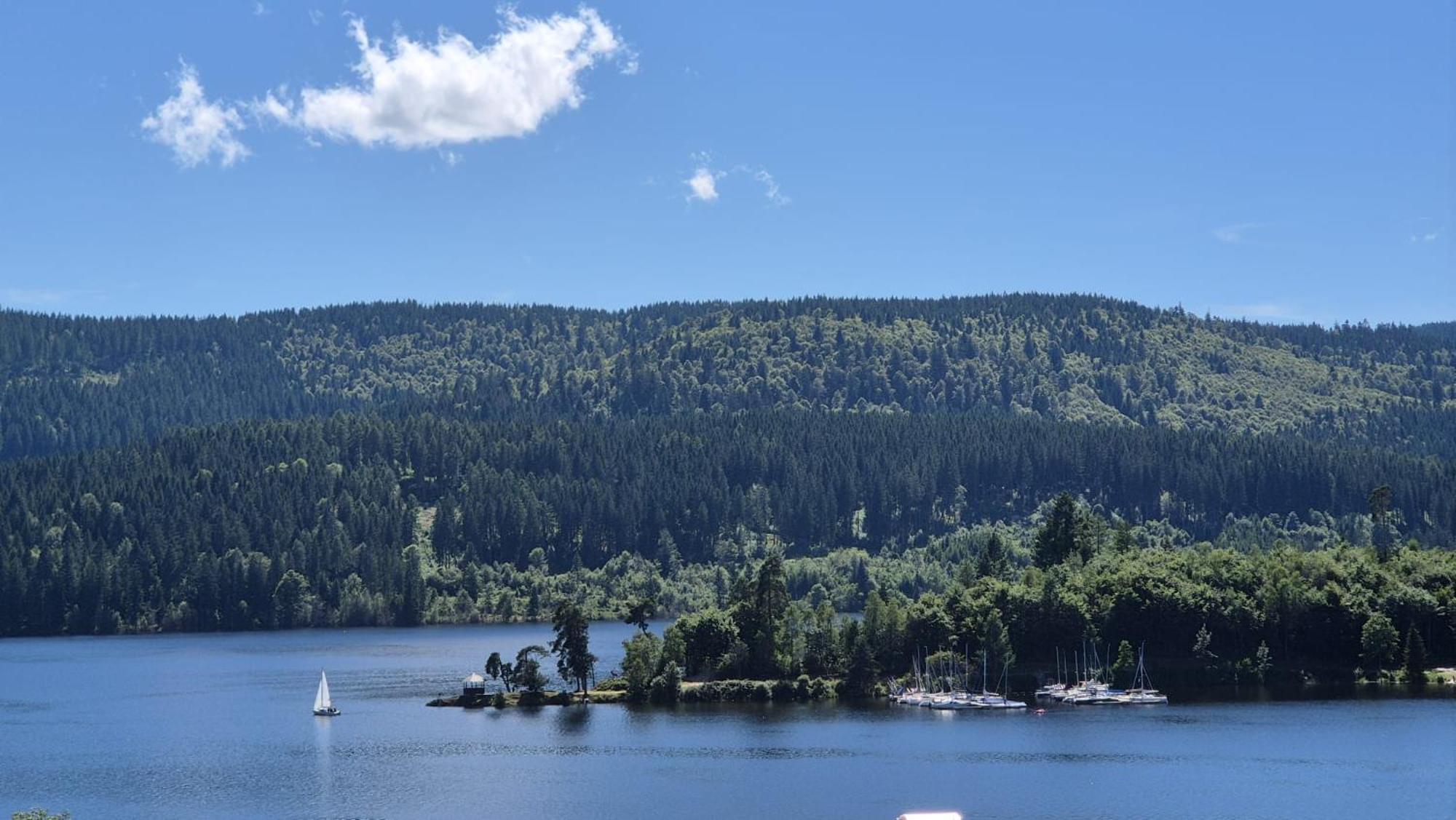 Chalet Schluchsee Ferienwohnung Exteriör bild